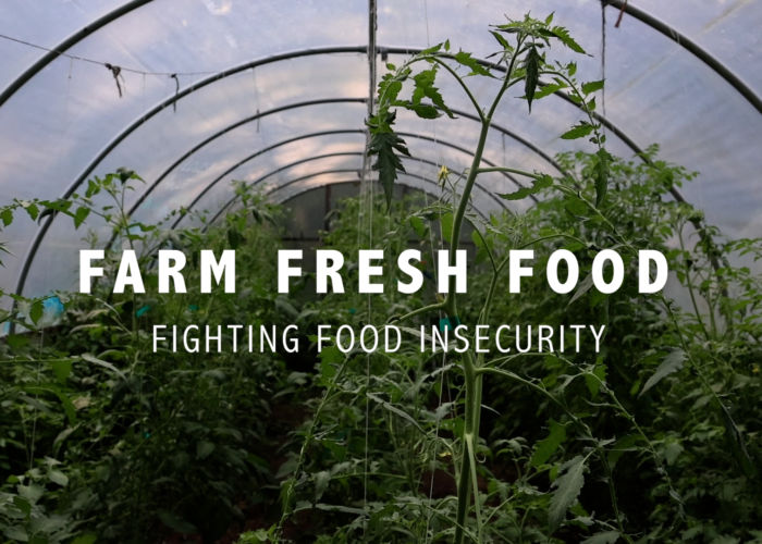Farm Fresh Food: Fighting Food Insecurity