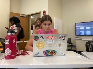 An HSJI student works on their laptop
