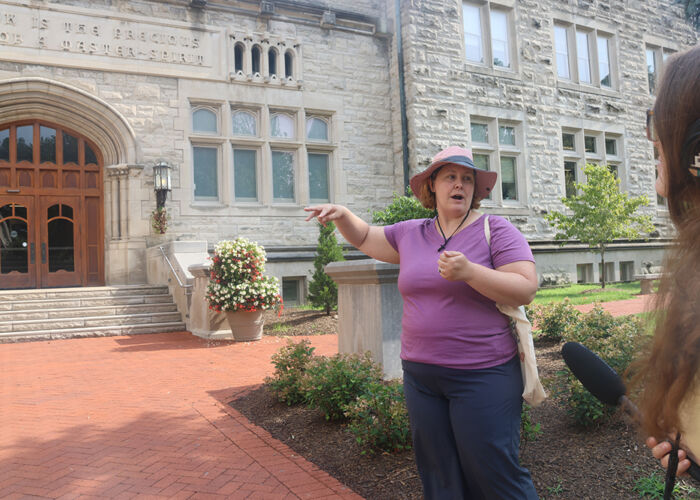 Polly Sturgeon: The Limestone Expert