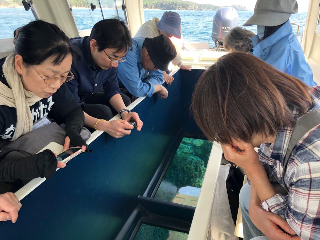 People looking into the bottom of a glass-bottom boat